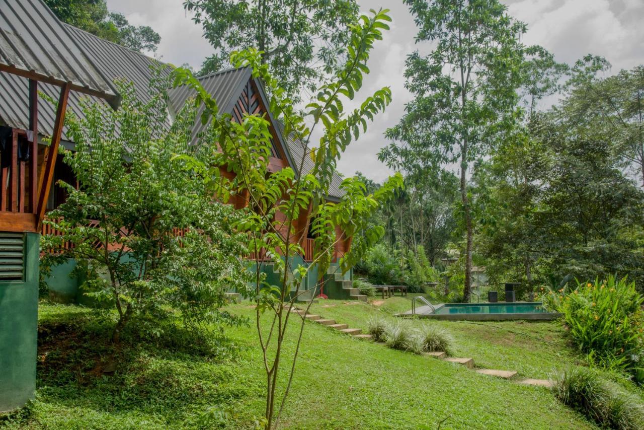 Sinharaja Forest Gate Деніяя Екстер'єр фото