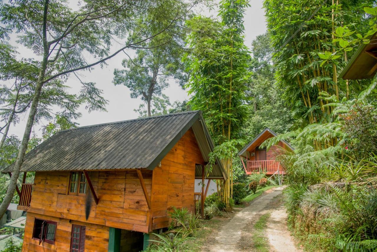 Sinharaja Forest Gate Деніяя Екстер'єр фото