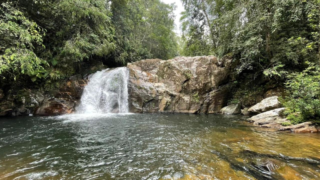 Sinharaja Forest Gate Деніяя Екстер'єр фото
